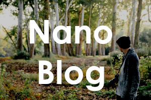 nanoblog